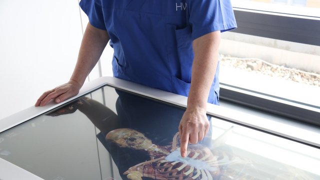 Person im HM-Kasack am virtuellen Anatomietisch